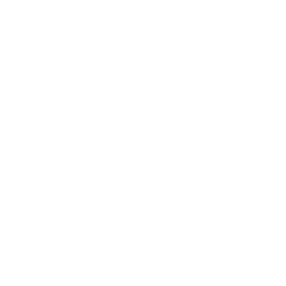 Lightning icon