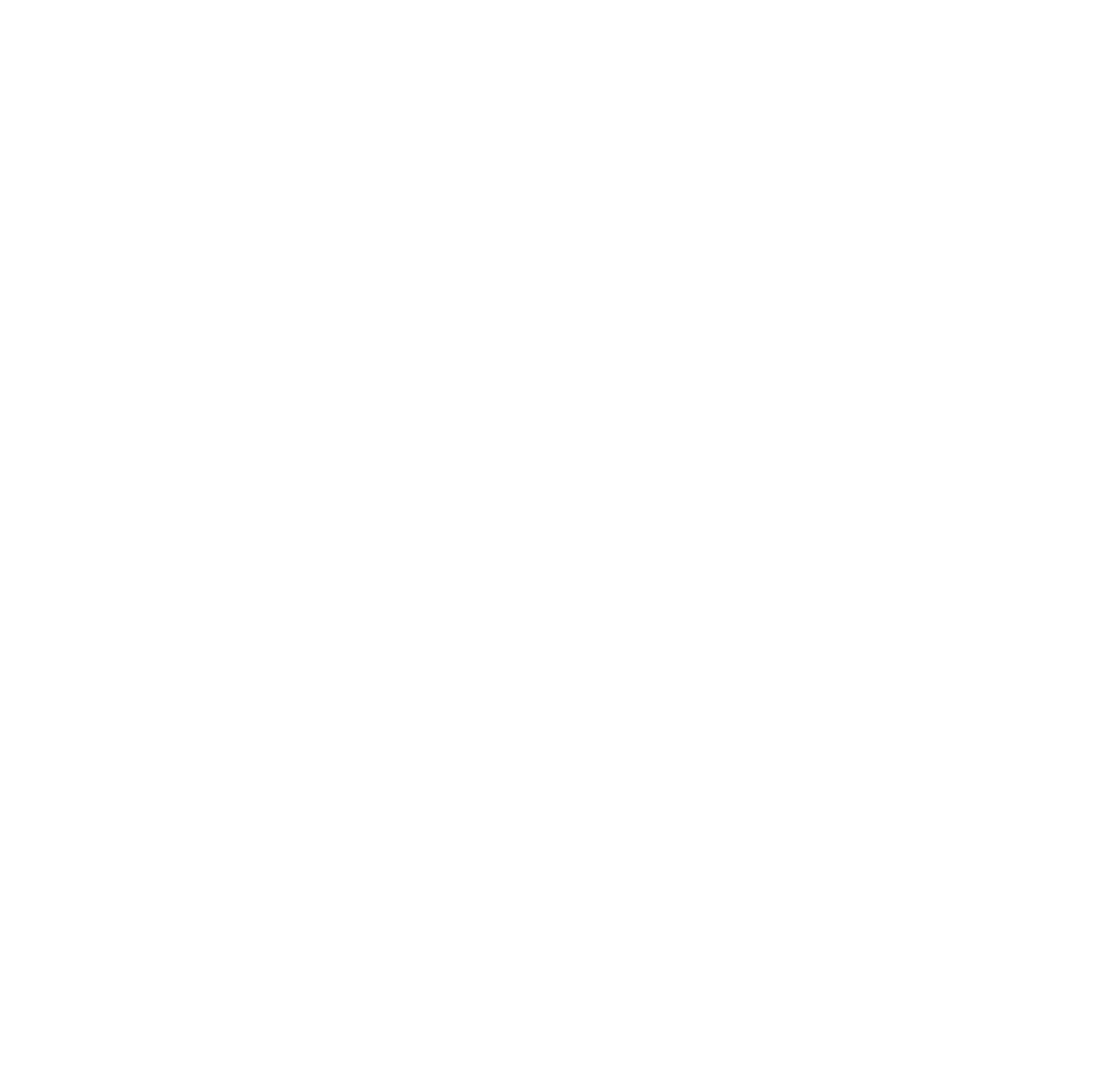Guided Icon White
